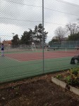 tennis.JPG